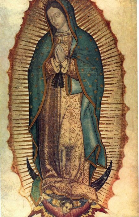 Ser UCALP
