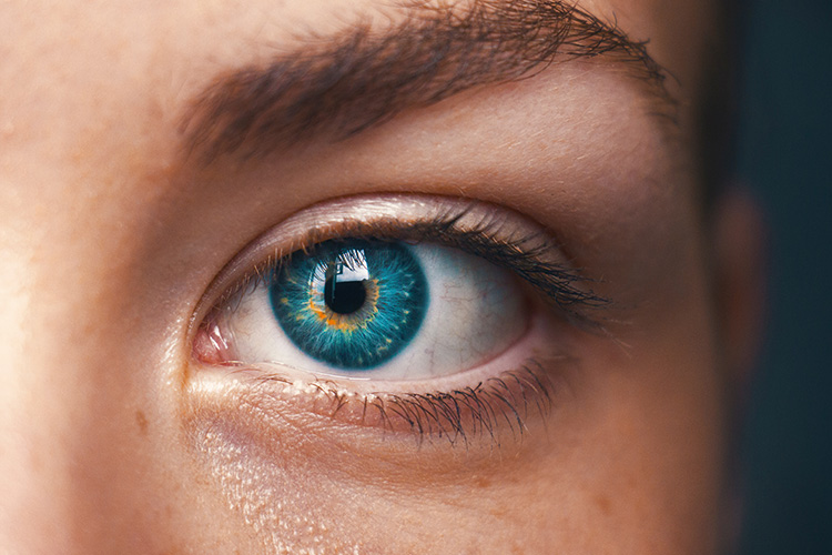 Los 9 tipos de inteligencia. ¿Sabés cuál es el tuyo?