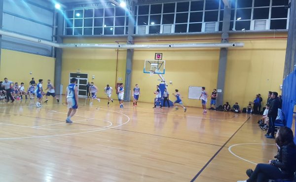 UCALP Básquet es el único invicto en los torneos ADAU y LUDESUR