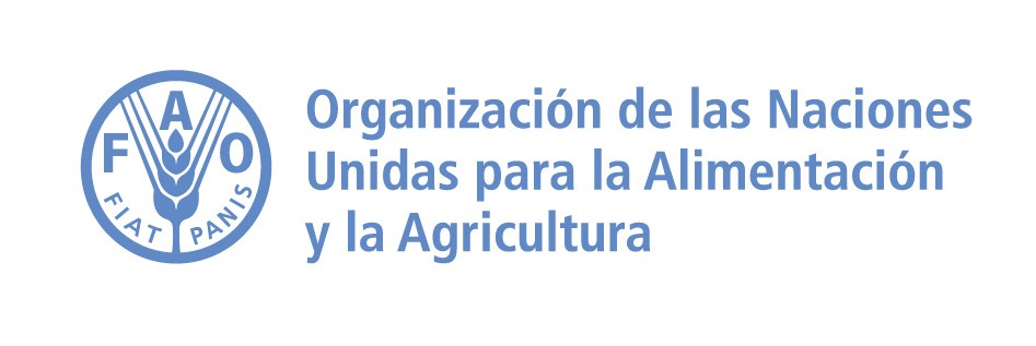 Empleo y programa de pasantías en la FAO