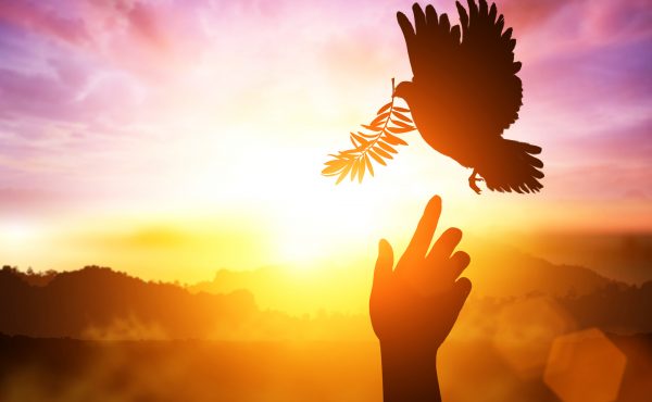 Celebración de Pentecostés Arquidiocesana