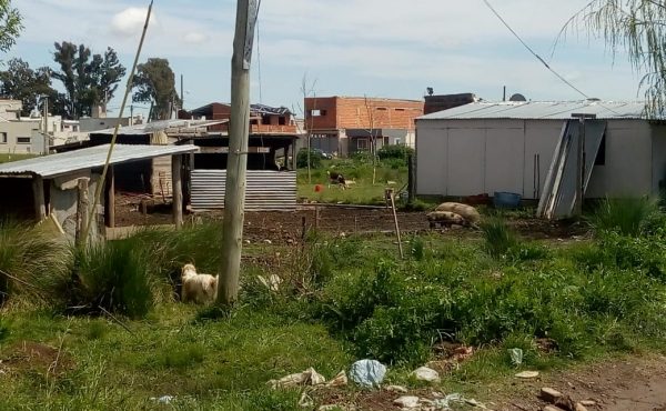Pobreza de hábitat: Cultura de Salud y Seguridad Alimentaria