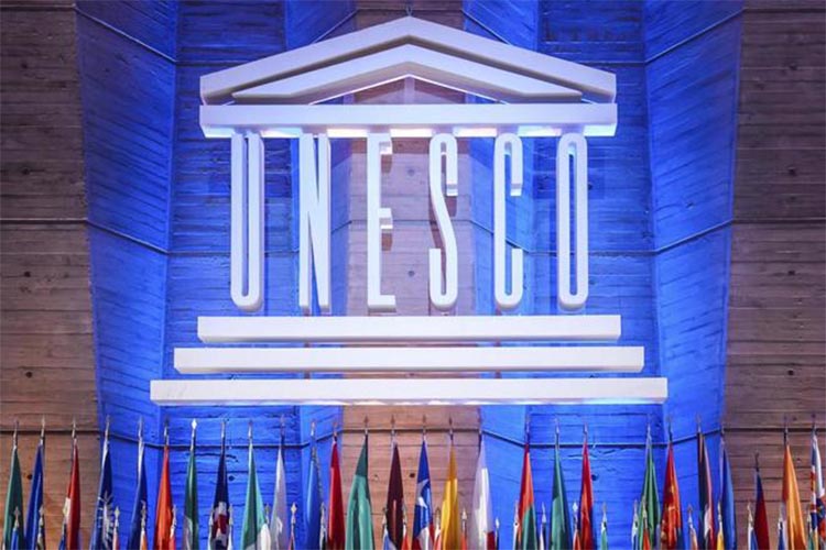 Los Museos y la crisis global