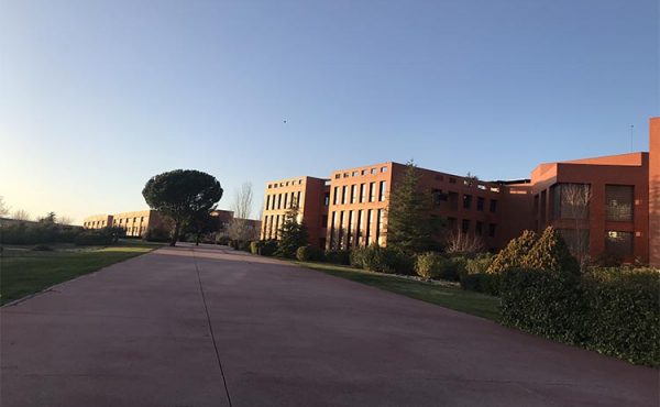 Alumnos de la UCALP y sus experiencias de intercambio