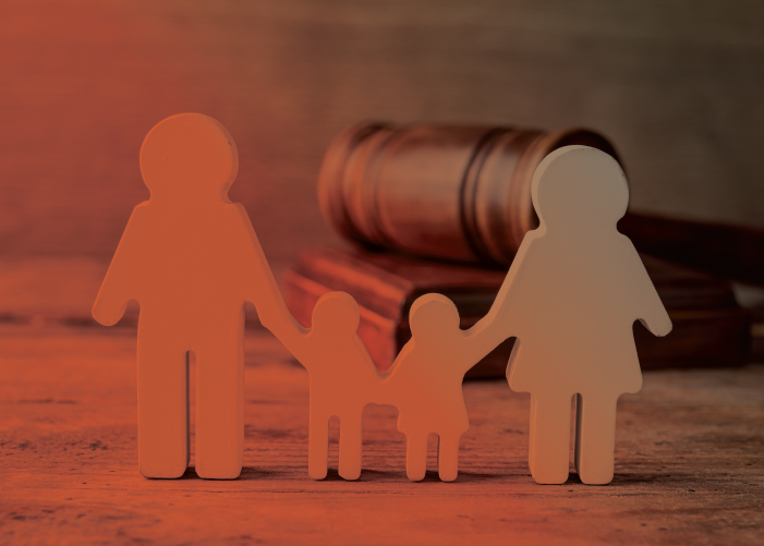 Diplomatura en Derecho Procesal de Familia (2.° edición)