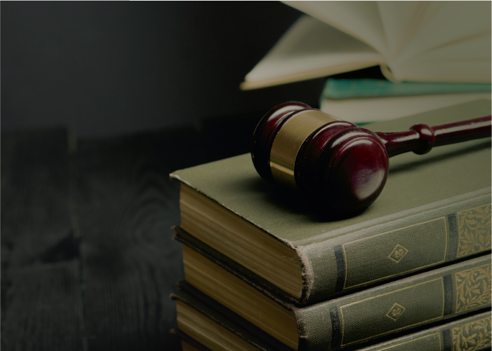 Seminario Jueces y Normas – Teoría y Práctica de la Decisión Judicial