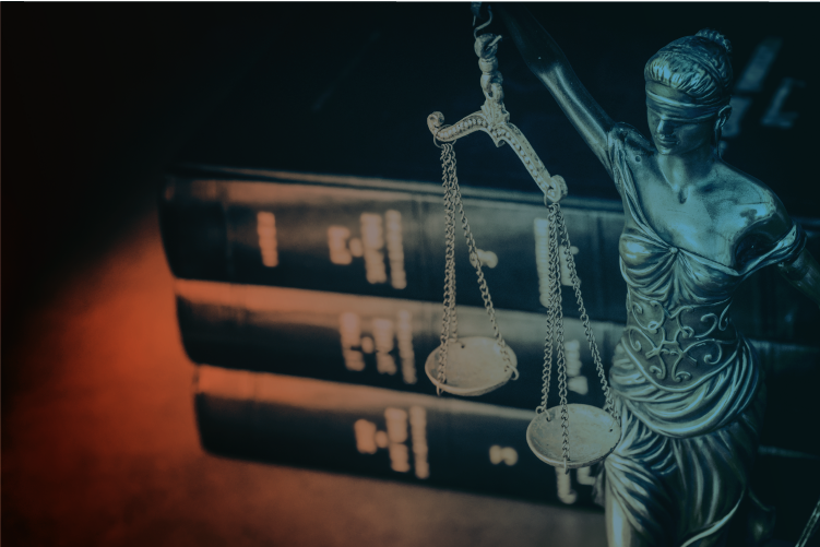 Seminario Argentino-Español de Derecho Penal Debido Proceso y Garantías Constitucionales