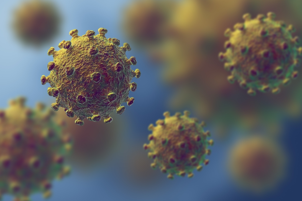Conferencia: “El virus un problema de contaminación”