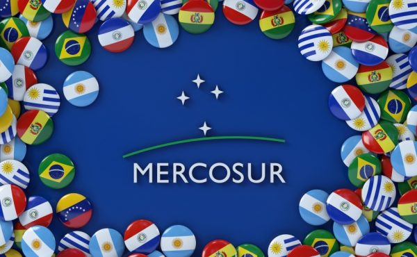 Estudiantes de la UCALP realizan pasantías en Mercosur