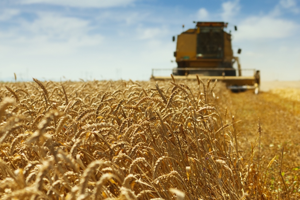 Curso internacional sobre los principios para la inversión responsable en la agricultura y los sistemas alimentarios