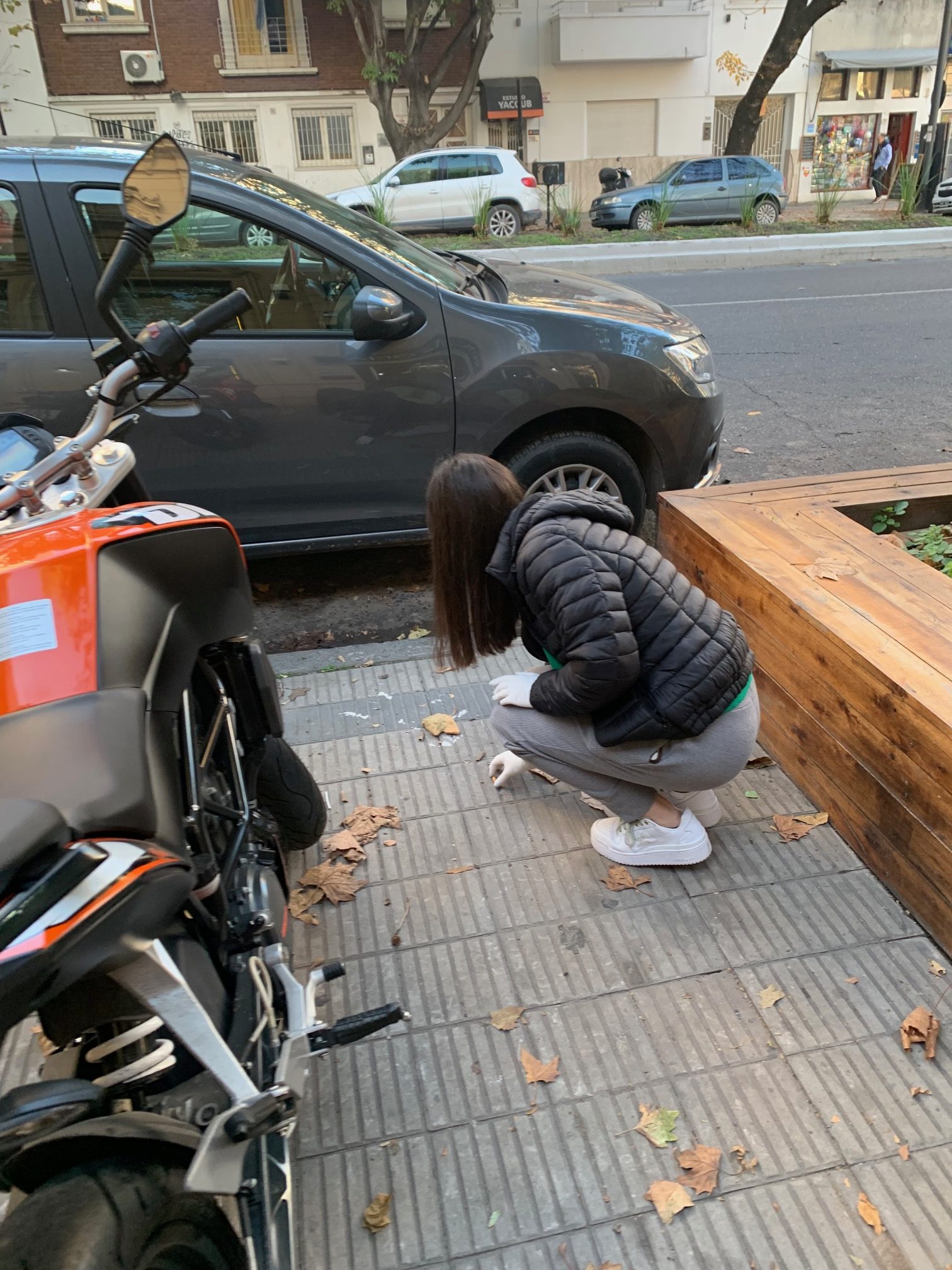La Facultad de Odontología y el proyecto por una ciudad más limpia (4)