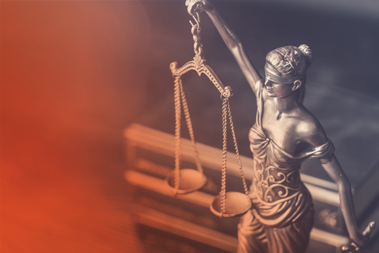 IX Diplomatura Internacional: Teoría del Delito, Teoría del Caso y Litigación Penal