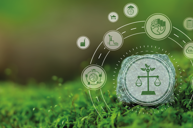 Diplomatura sobre derecho procesal ambiental y cambio climático