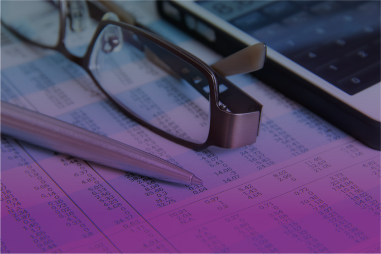 Curso de Contabilidad y Auditoría Pública 2024