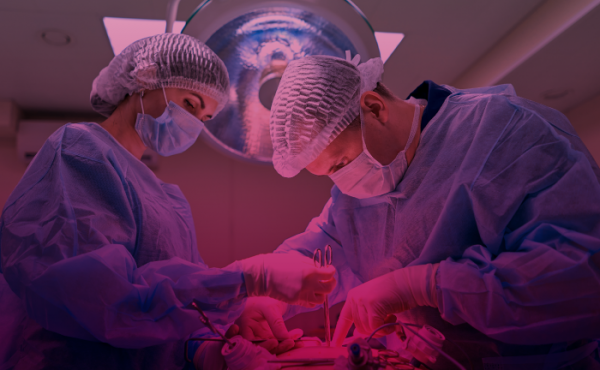 Diplomatura en Trasplante y ablación de órganos y tejidos