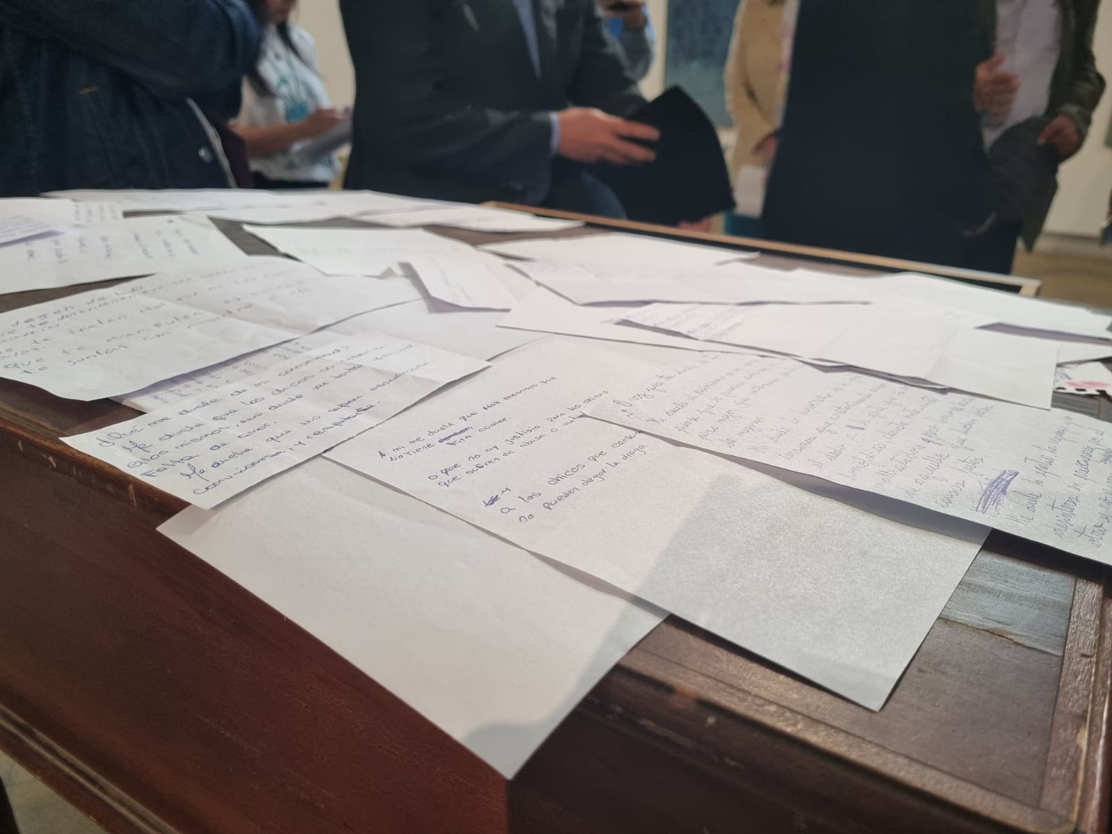 Escuelas de La Plata se unieron en el programa Comunidades en Movimiento de Scholas (2)