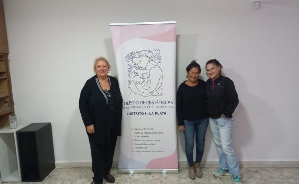 Caída de natalidad y cambios culturales: la opinión de obstetras de la UCALP
