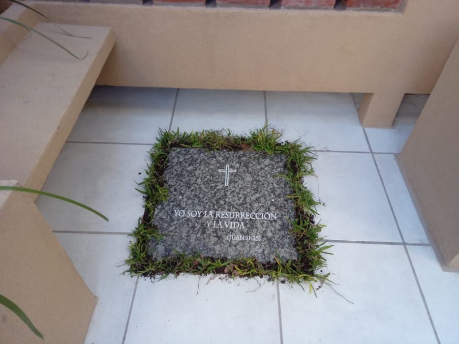 cinerario