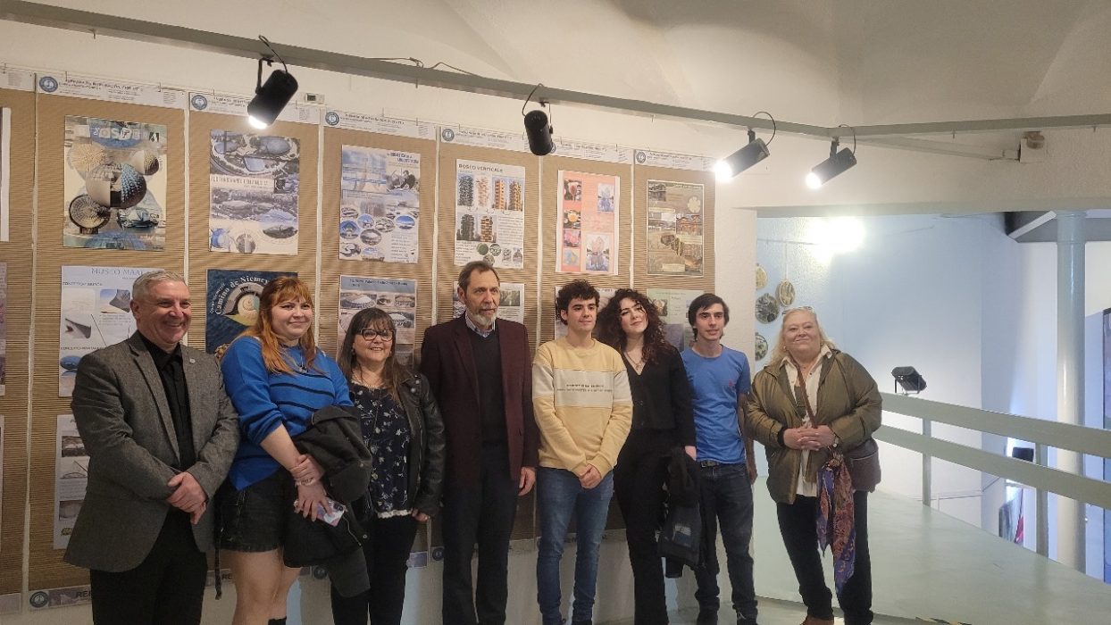 Arquitectura homenajeó a Frei Otto con una muestra en el Museo Beato Angélico (10)