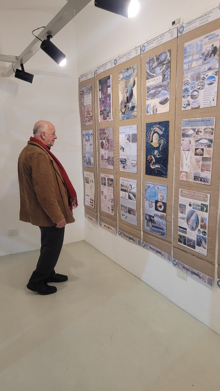 Arquitectura homenajeó a Frei Otto con una muestra en el Museo Beato Angélico 