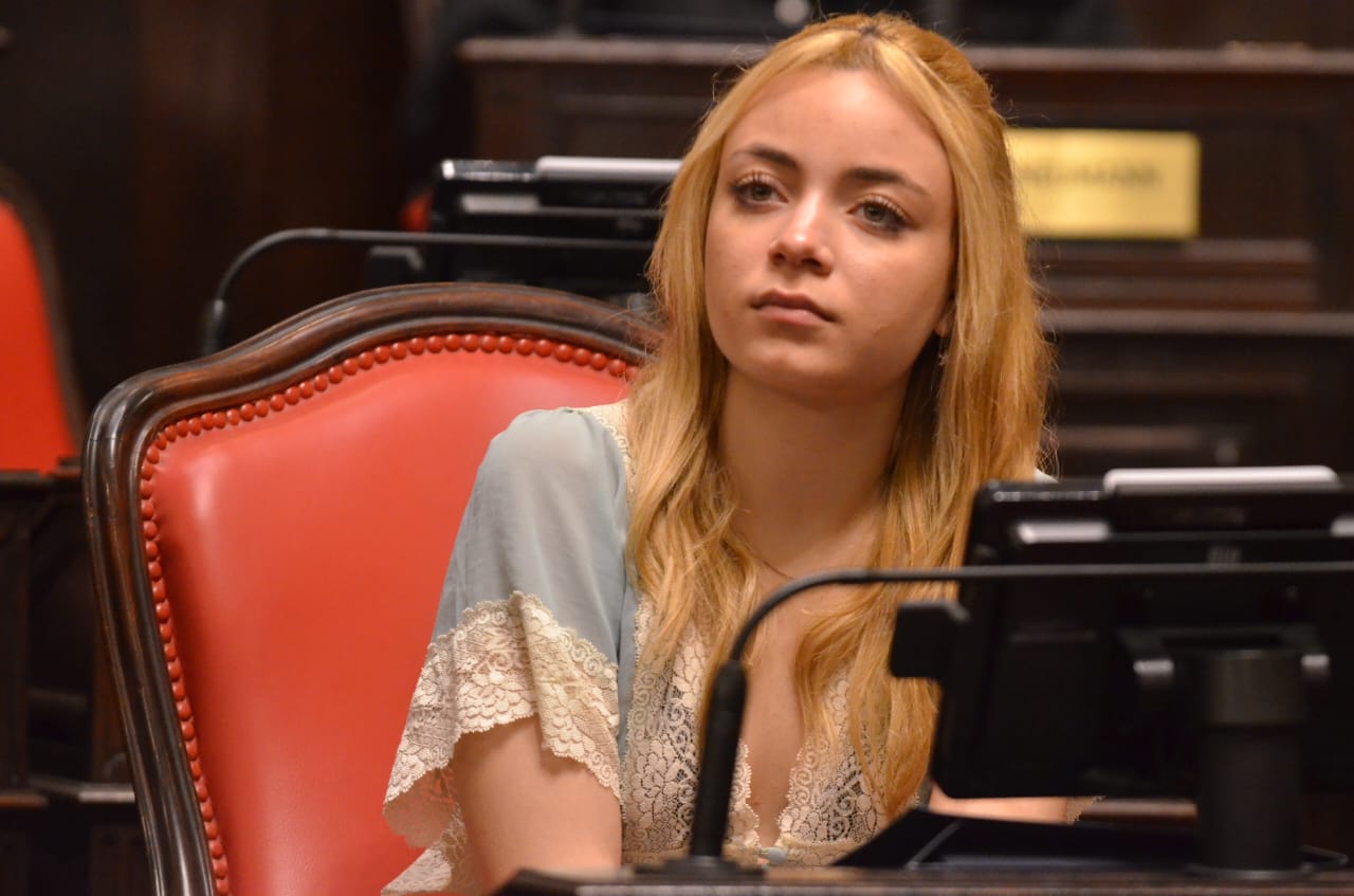 Estudiantes de Ciencia Política y Relaciones Internacionales visitaron la Legislatura bonaerense 