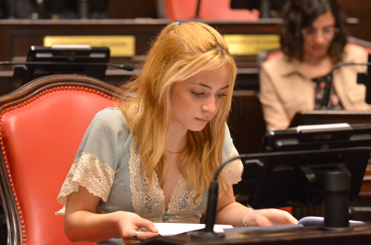 Estudiantes de Ciencia Política y Relaciones Internacionales visitaron la Legislatura bonaerense 