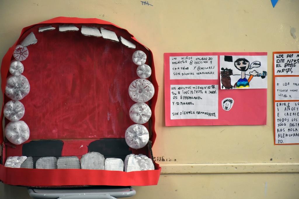 Los alumnos del Colegio Primario Estrada presentaron sus proyectos en la Feria de Ciencias 