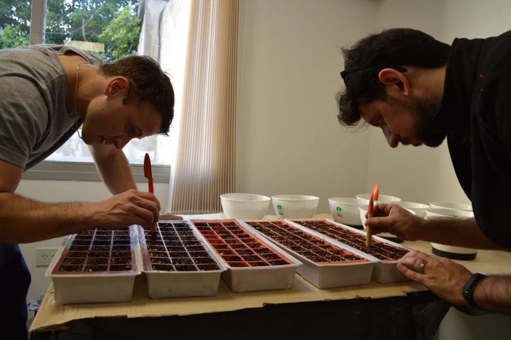 Avanzan los trabajos para la nueva huerta de la Facultad de Arquitectura y Diseño (10)