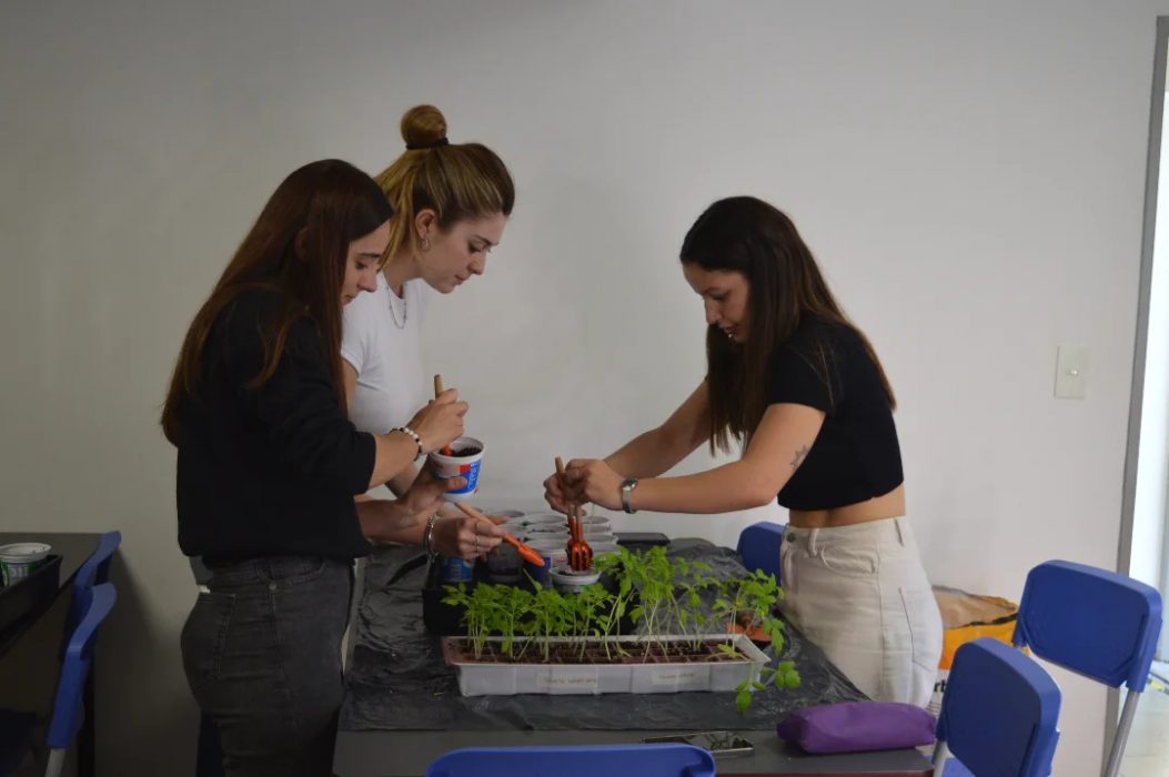 Avanzan los trabajos para la nueva huerta de la Facultad de Arquitectura y Diseño (2)