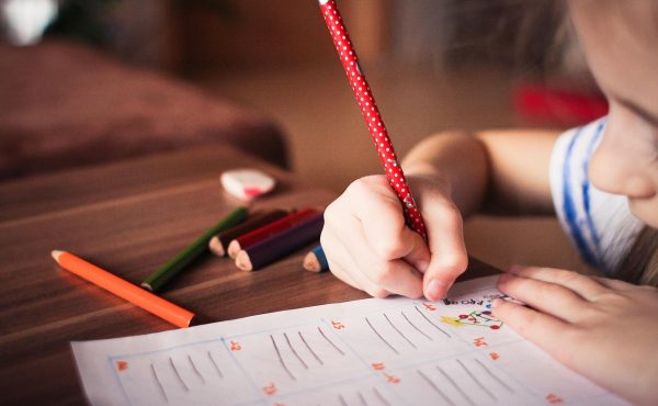 La UCALP y el Día Internacional de la Educación