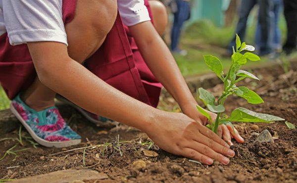 Objetivos y proyectos del nuevo Observatorio Socioambiental